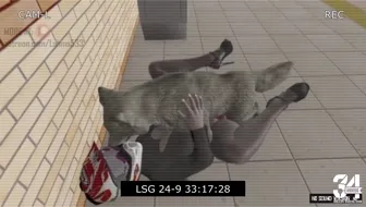 Doggy Style Beast Lust: Massive Dog Cock Knot in Skyrim Animation thumbnail